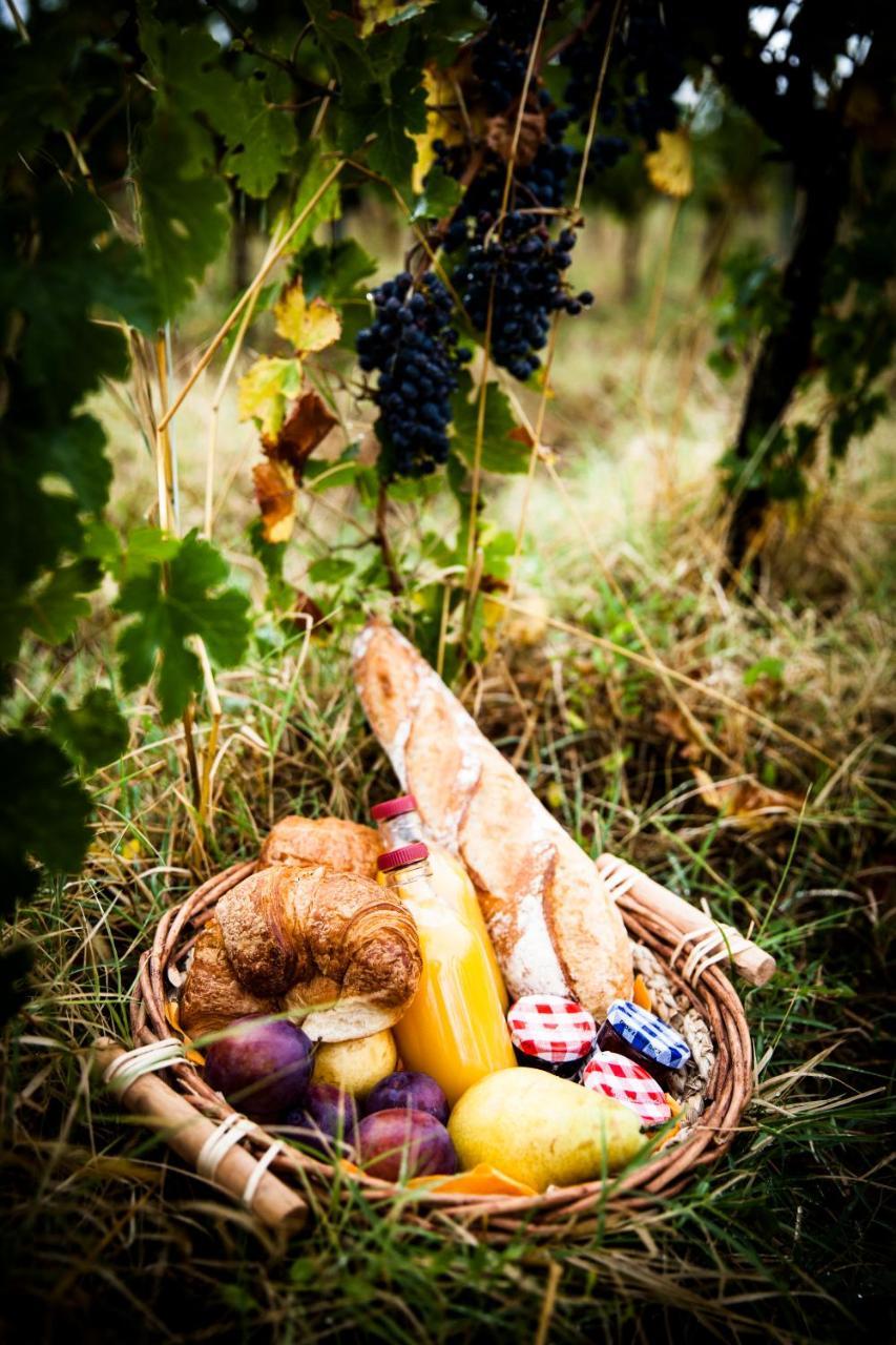 Villegailhenc Domaine De Cazaban 아파트 외부 사진
